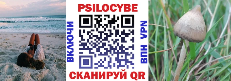 Купить  Тихорецк  Псилоцибиновые грибы ЛСД 